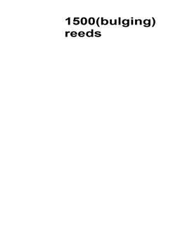 (bulging)1500 reeds